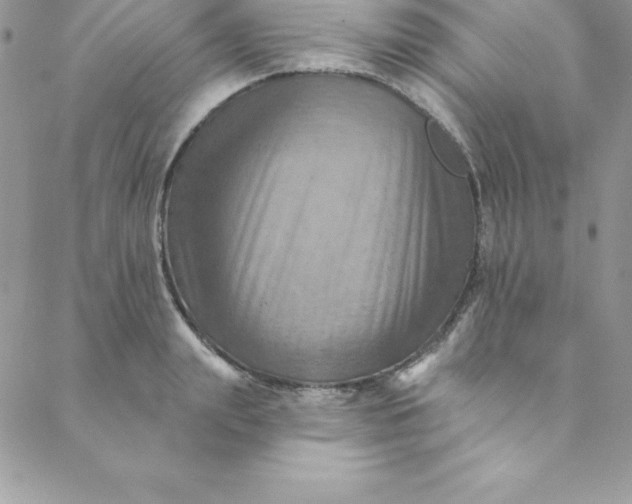 X0000088750847200706141726