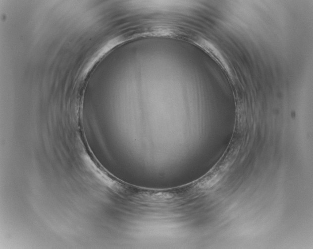 X0000088750851200706141726