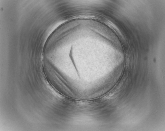 X0000088750852200706141726