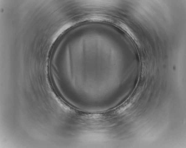 X0000088750853200706141726