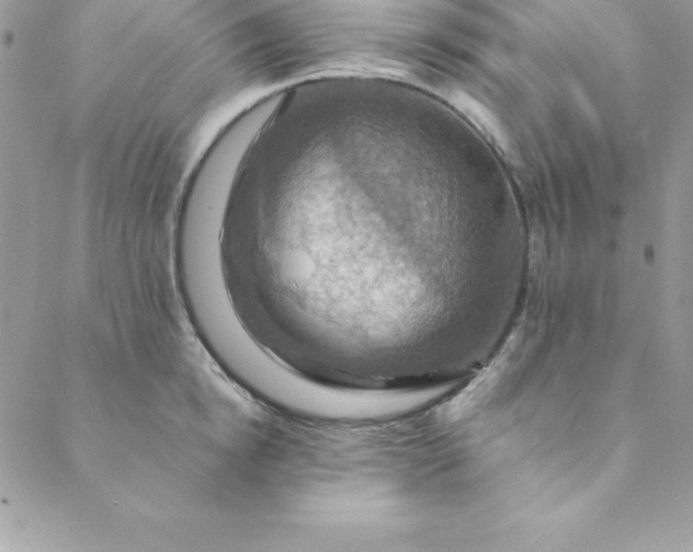 X0000088750854200706141726