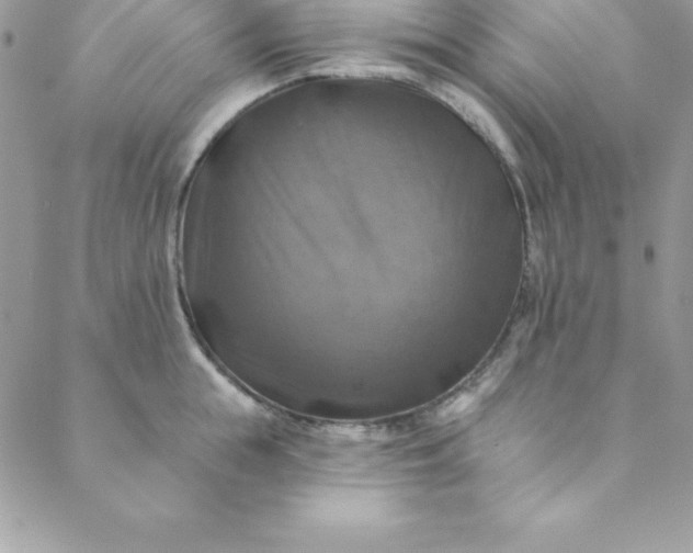 X0000088750855200706141726