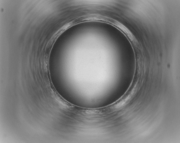 X0000088750857200706141726