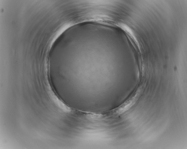 X0000088750859200706141726