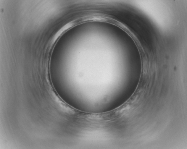 X0000088750861200706141726