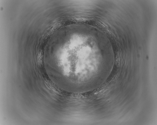 X0000088750866200706141726