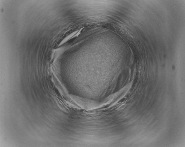 X0000088750868200706141726