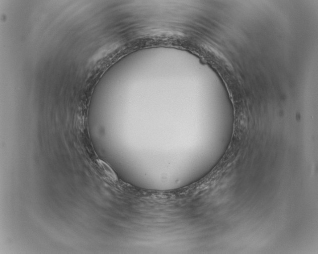 X0000088750869200706141726