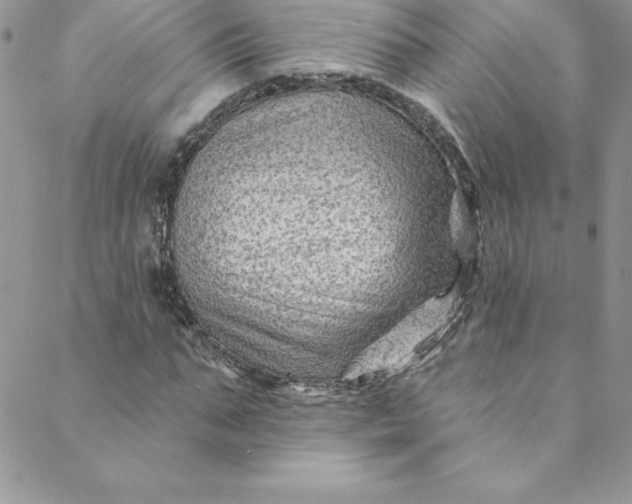 X0000088750871200706141725
