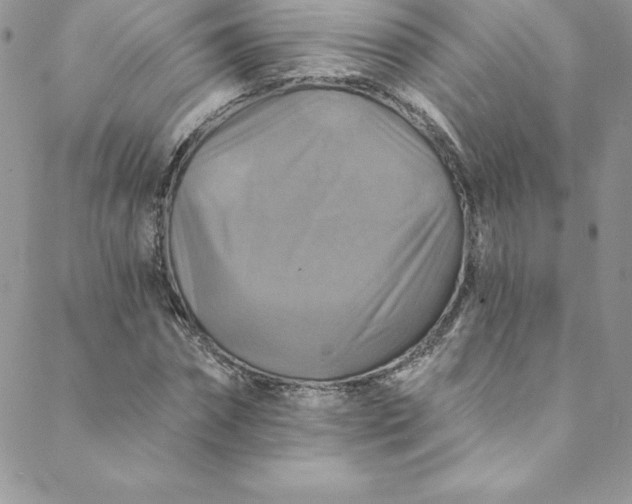 X0000088750874200706141725