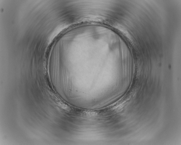 X0000088750878200706141725