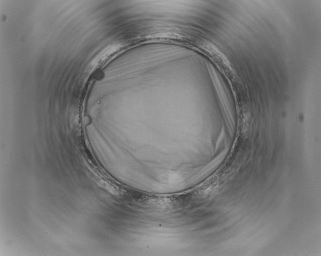 X0000088750882200706141725