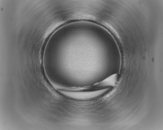 X0000088750885200706141725