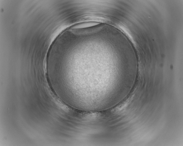 X0000088750891200706141725