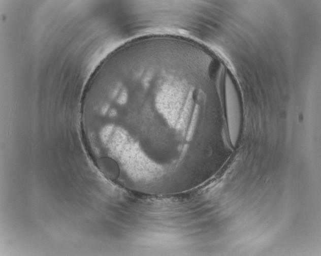 X0000088750895200706141725