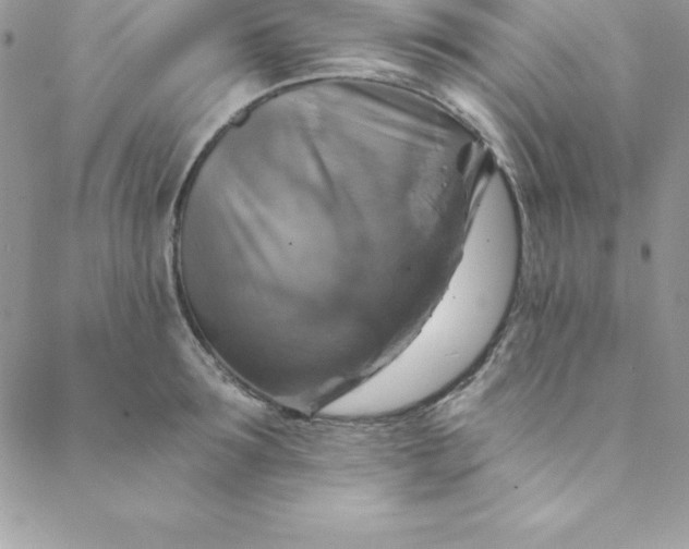 X0000088750899200706141725