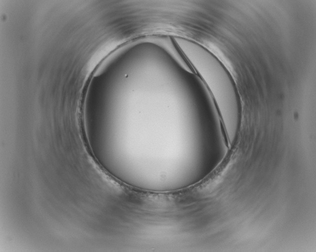 X0000088750901200706141725