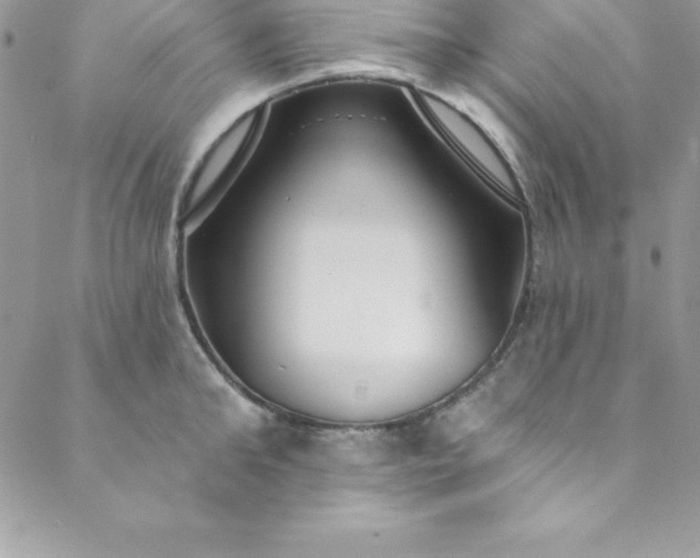 X0000088750902200706141725
