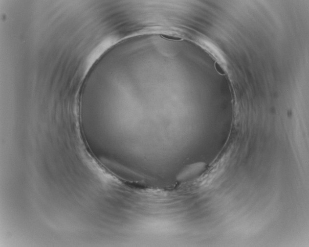 X0000088750907200706141725