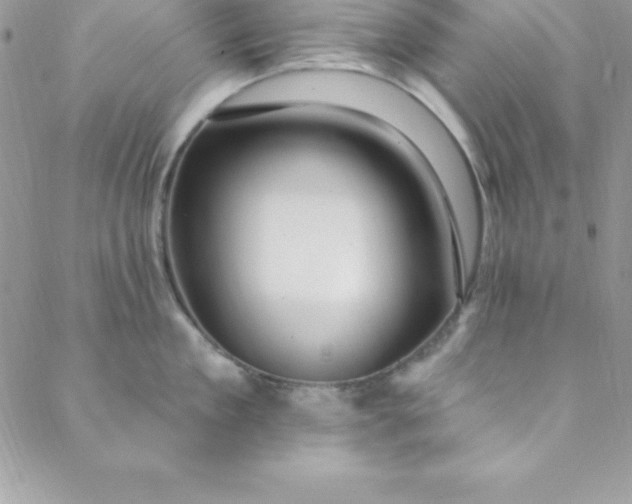 X0000088750909200706141725