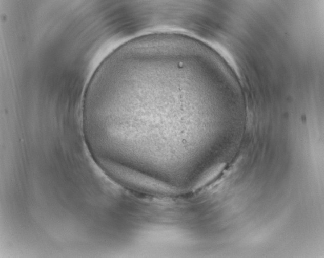 X0000088750911200706141725