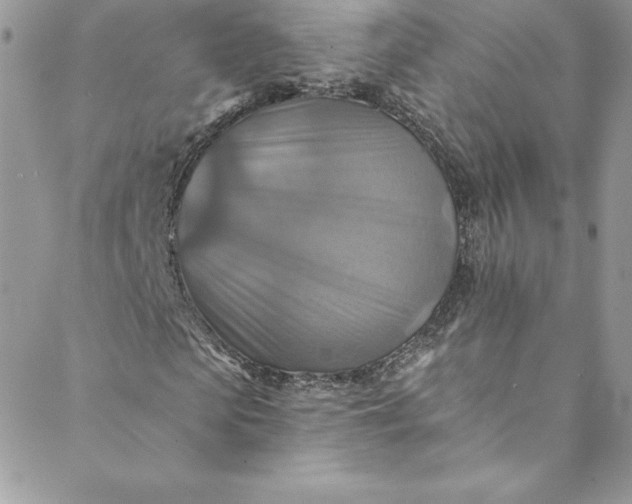 X0000088750913200706141724