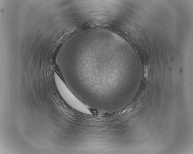 X0000088750915200706141724