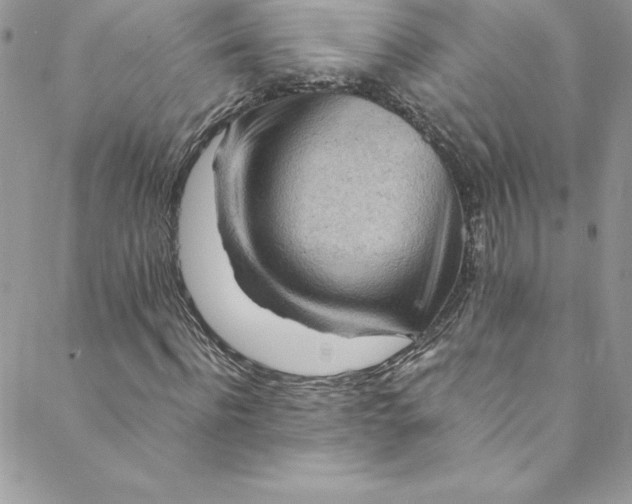 X0000088750916200706141724