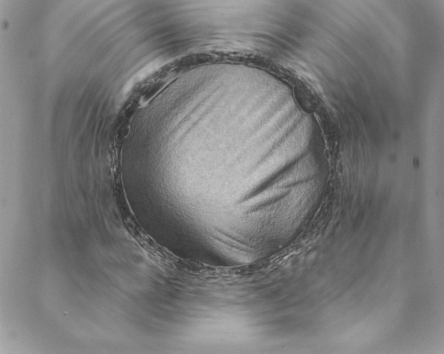 X0000088750920200706141724