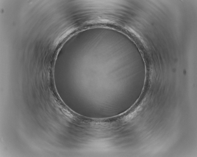 X0000088750921200706141724