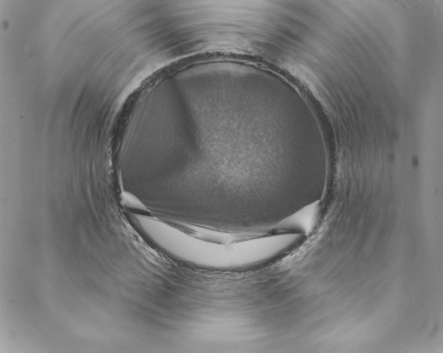 X0000088750923200706141724