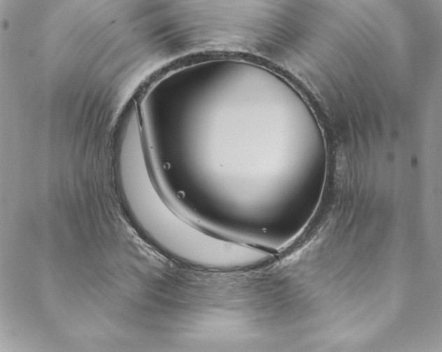 X0000088750926200706141724