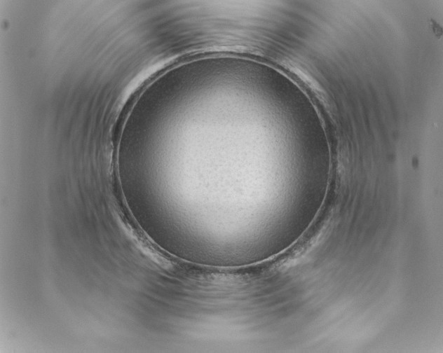 X0000088750933200706141724