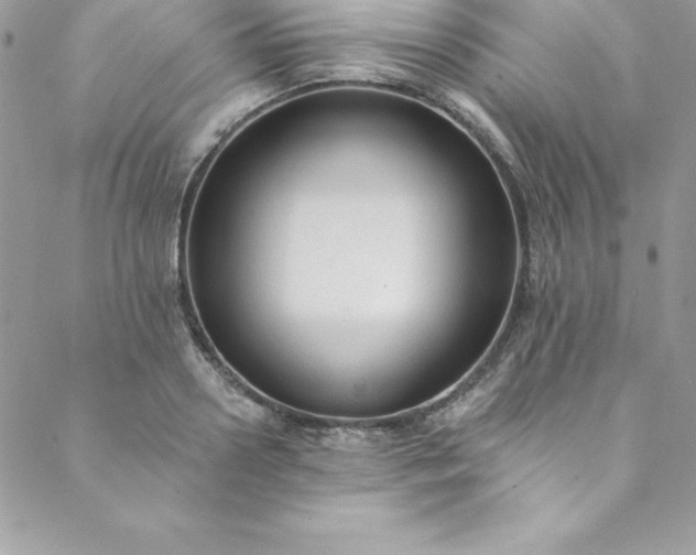 X0000088750938200706141724