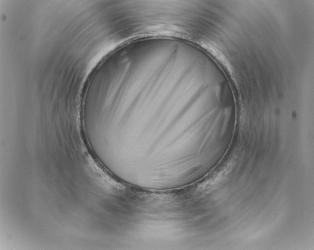 X0000088750941200706141724