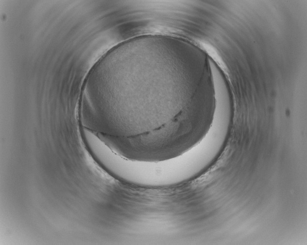 X0000088750946200706141725