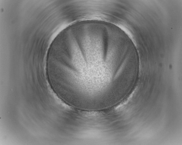 X0000088750949200706141725