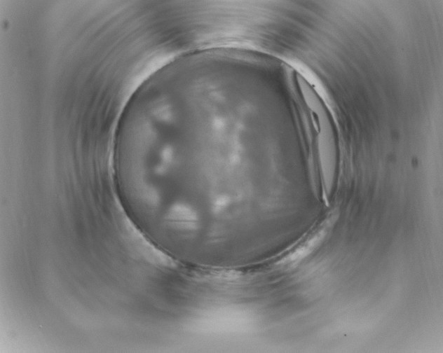 X0000088750957200706141725