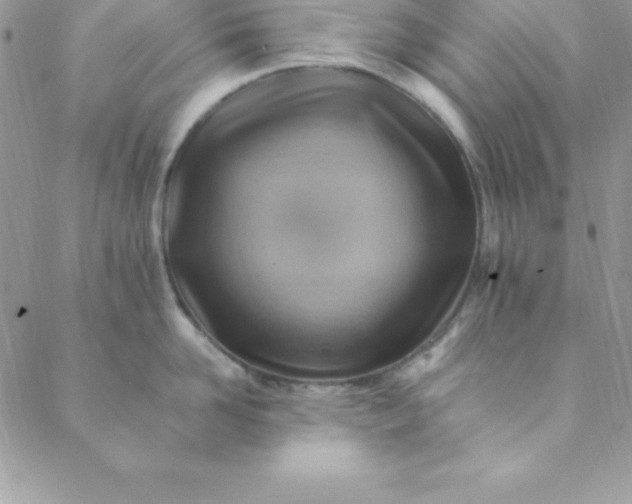 X0000088750958200706141725