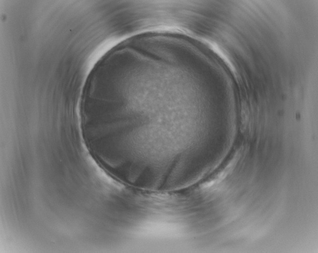 X0000088750959200706141725
