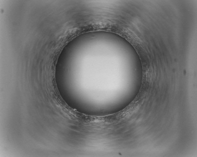 X0000088750961200706141724