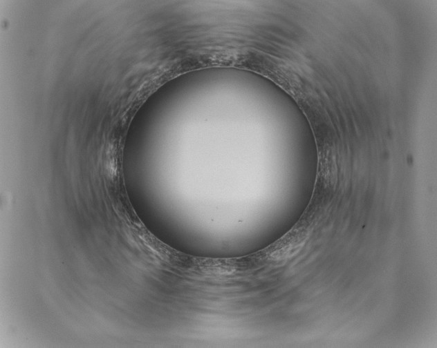 X0000088750962200706141724