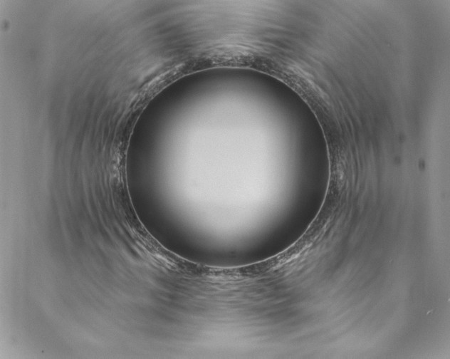 X0000088750964200706141724
