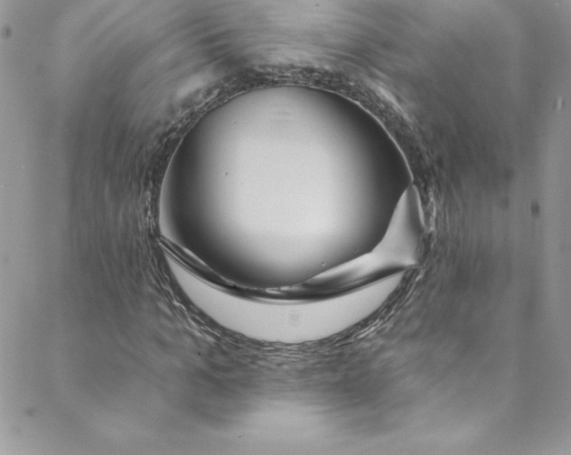 X0000088750965200706141724