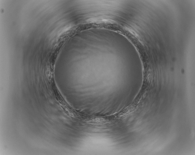 X0000088750966200706141724