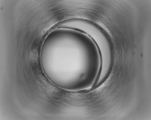 X0000088750969200706141724