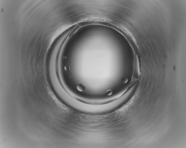 X0000088750981200706141724