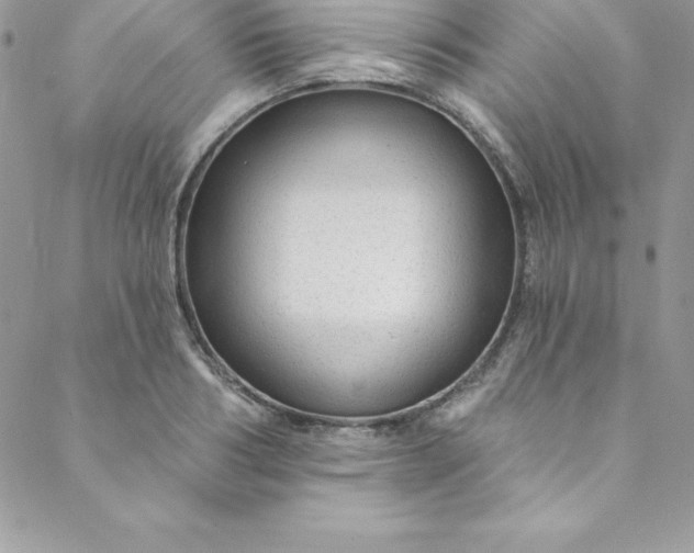 X0000088750986200706141724