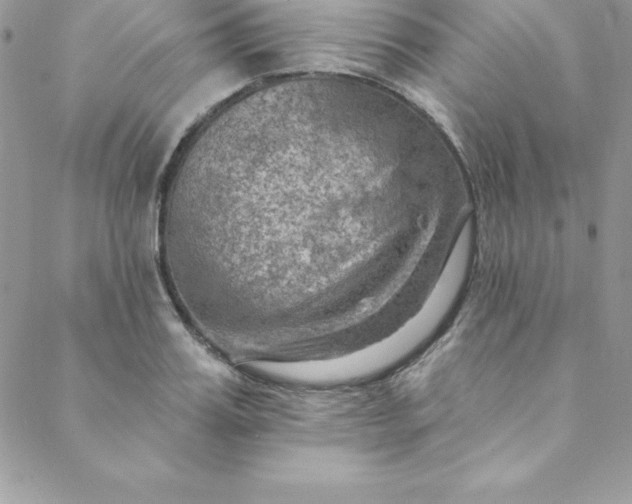 X0000088750987200706141724