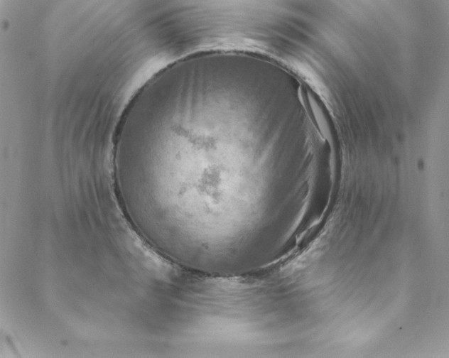 X0000088750990200706141724